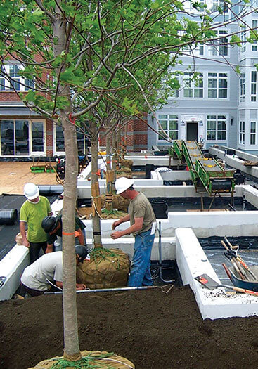 LC_5-15-09-108_367x525